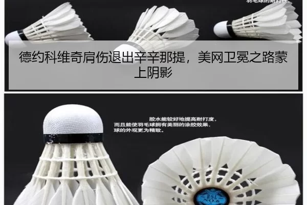 德约科维奇肩伤退出辛辛那提，美网卫冕之路蒙上阴影